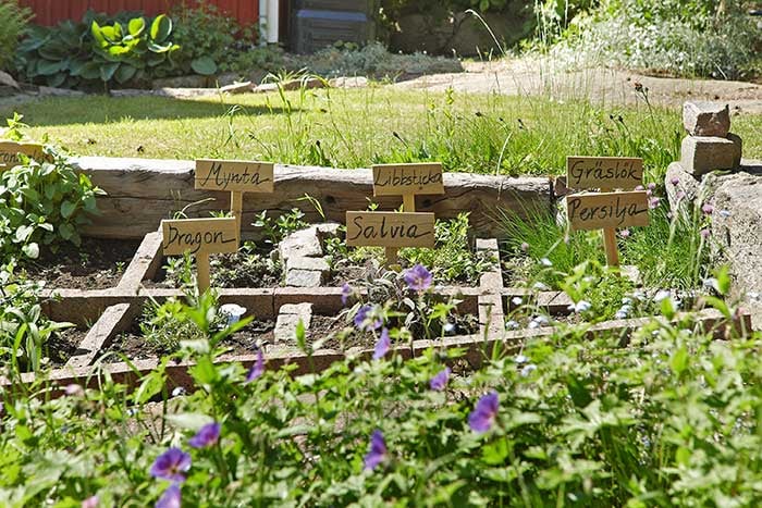Egen odling av kryddor och grönsaker på gård